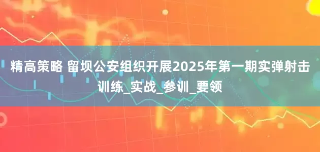 精高策略 留坝公安组织开展2025年第一期实弹射击训练_实战_参训_要领