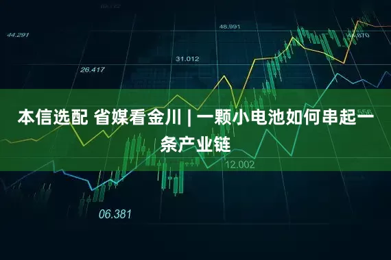 本信选配 省媒看金川 | 一颗小电池如何串起一条产业链