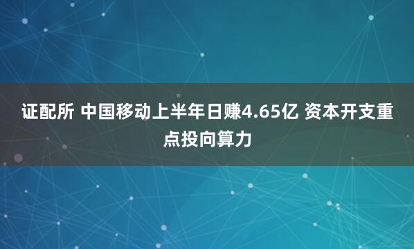 证配所 中国移动上半年日赚4.65亿 资本开支重点投向算力
